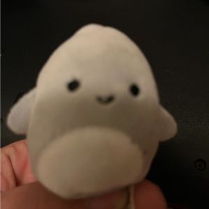 Gordon the shark squishmallow